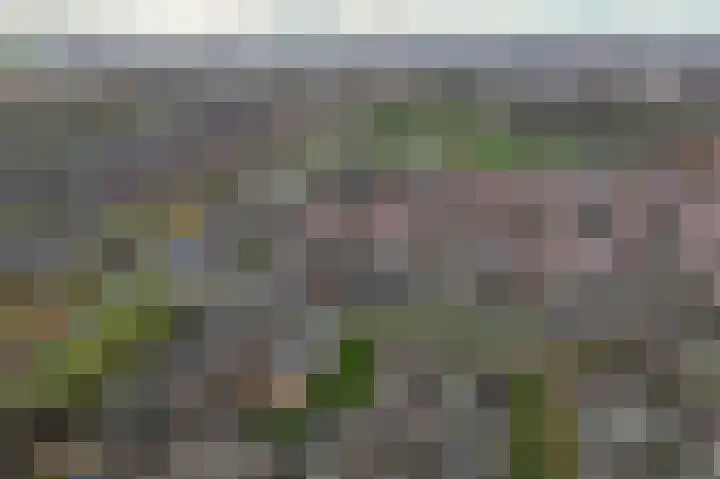 Laan der Nederlanden 6 Beverwijk thumbnail 46