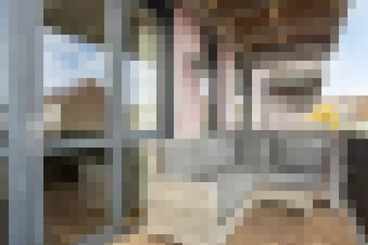 Laan der Nederlanden 66 A Beverwijk thumbnail 16