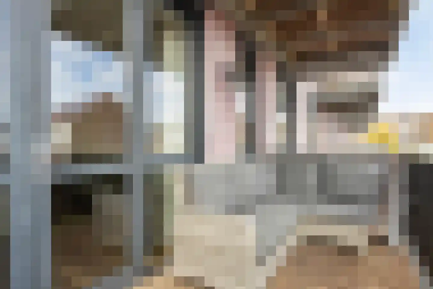 Laan der Nederlanden 66 A Beverwijk thumbnail 16