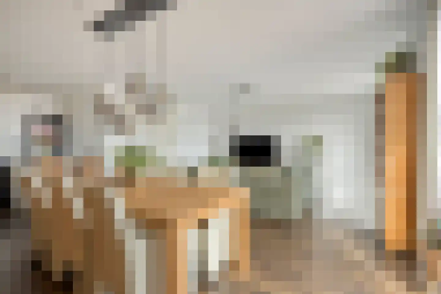 Laan der Nederlanden 66 A Beverwijk thumbnail 8