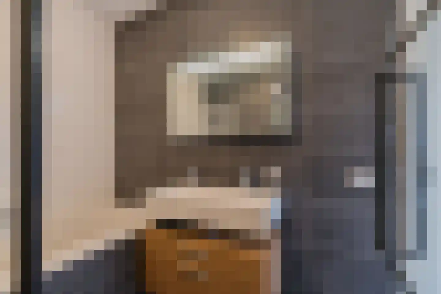 Laan der Nederlanden 68 Beverwijk thumbnail 36