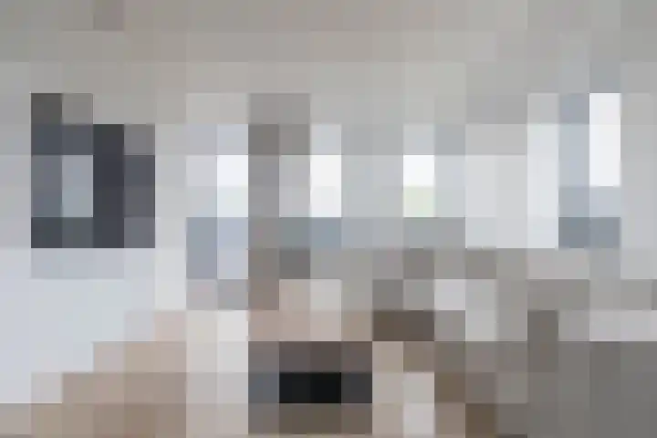 Laan der Nederlanden 68 K Beverwijk thumbnail 17