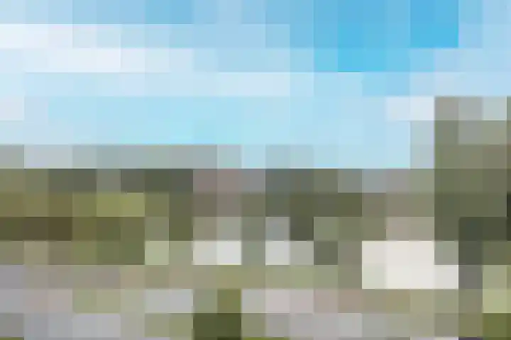 Laan der Nederlanden 68 K Beverwijk thumbnail 25