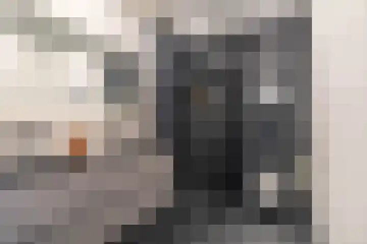 Laan der Nederlanden 68 K Beverwijk thumbnail 31