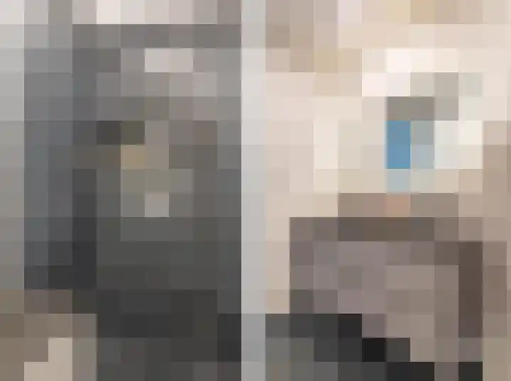 Laan der Nederlanden 68 K Beverwijk thumbnail 32