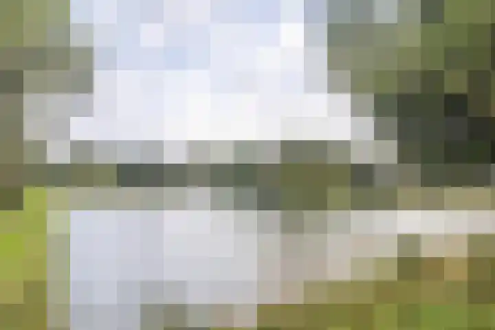Laan der Nederlanden 68 K Beverwijk thumbnail 33