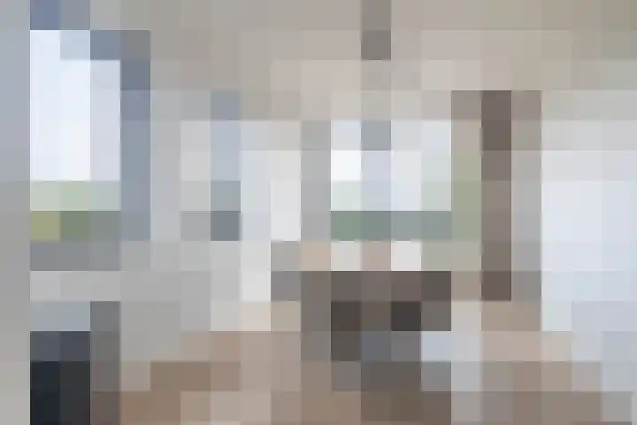 Laan der Nederlanden 68 K Beverwijk thumbnail 7