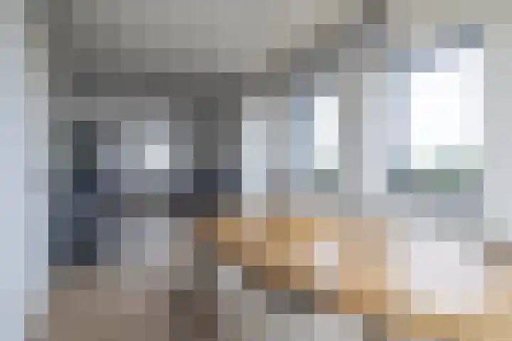 Laan der Nederlanden 68 K Beverwijk thumbnail 9