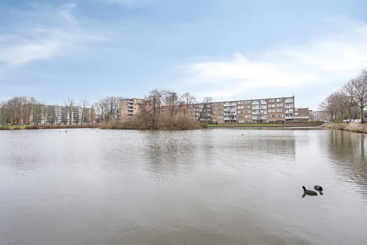 Laan der Nederlanden 76 Beverwijk thumbnail 43