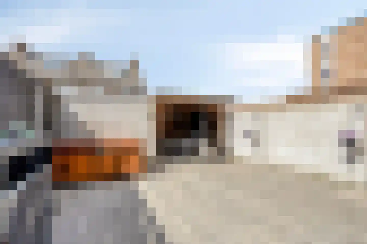 Laan der Nederlanden 94 Beverwijk thumbnail 31