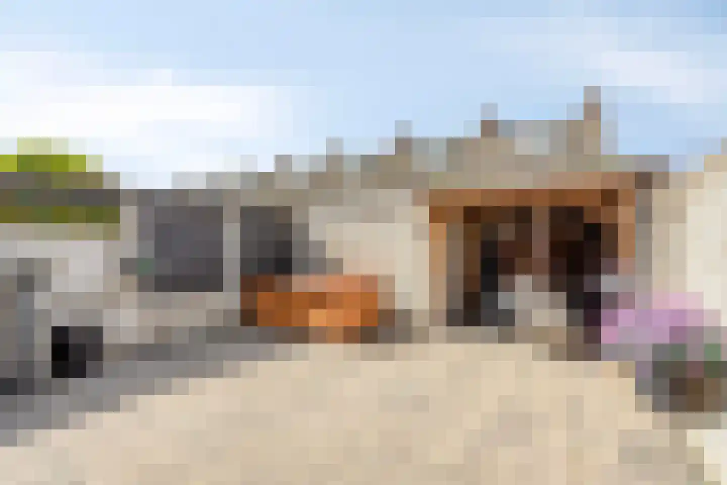 Laan der Nederlanden 94 Beverwijk thumbnail 32