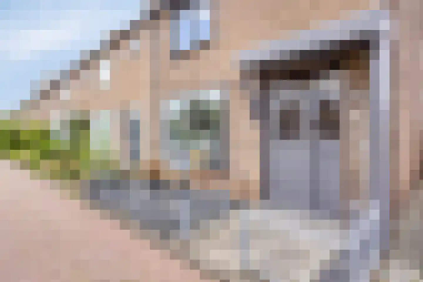 Laan der Nederlanden 94 Beverwijk thumbnail 37
