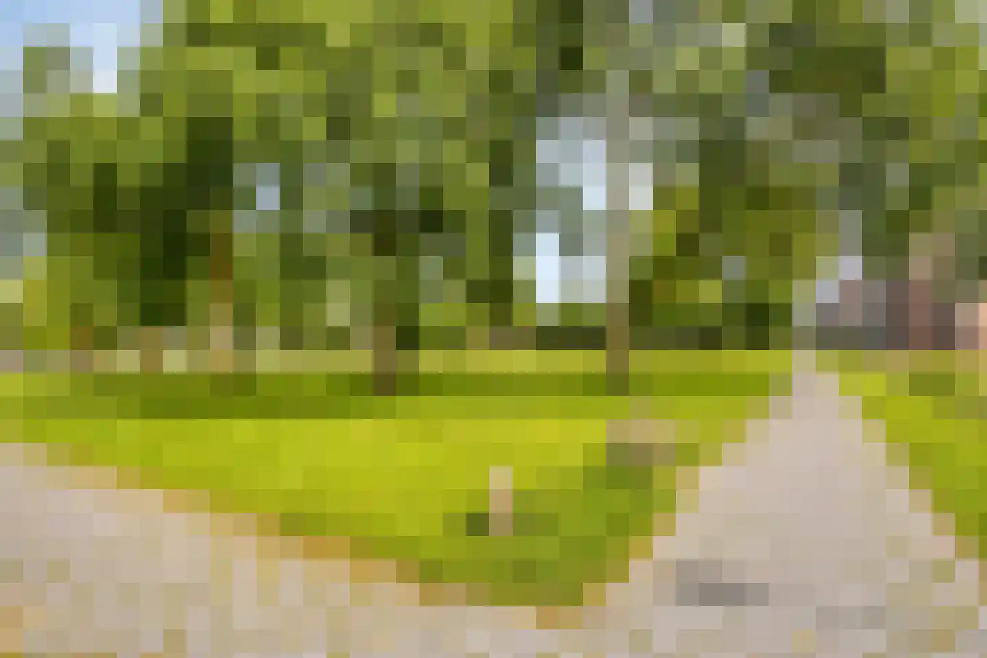 Laan der Nederlanden 94 Beverwijk thumbnail 42
