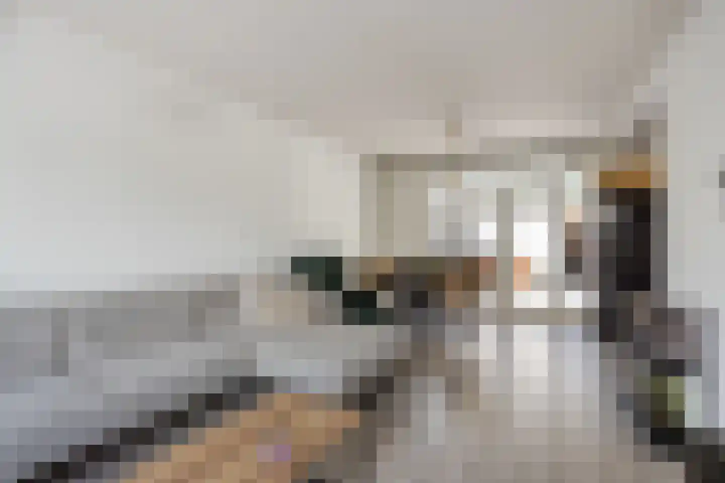 Laan der Nederlanden 94 Beverwijk thumbnail 5