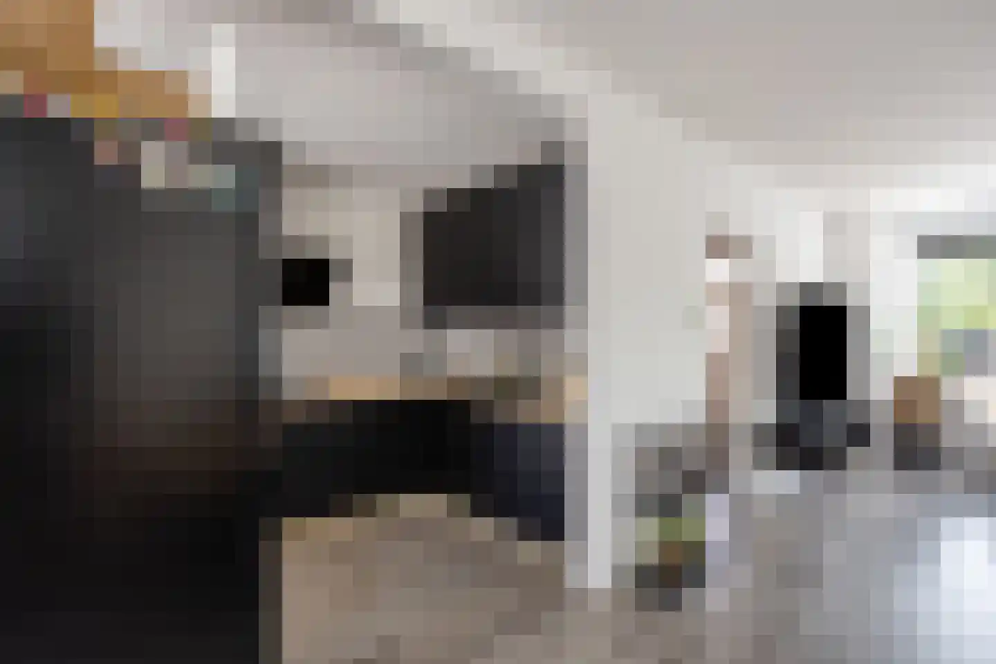Laan der Nederlanden 94 Beverwijk thumbnail 9
