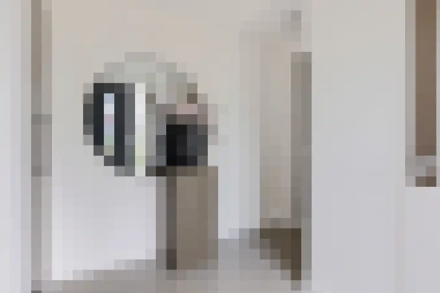 Laan der Romeinse tijd 32 Oss thumbnail 11