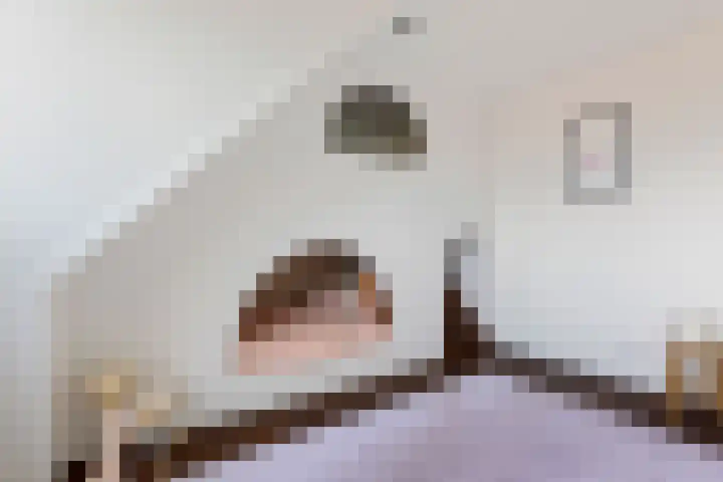 Laan der Romeinse tijd 32 Oss thumbnail 16