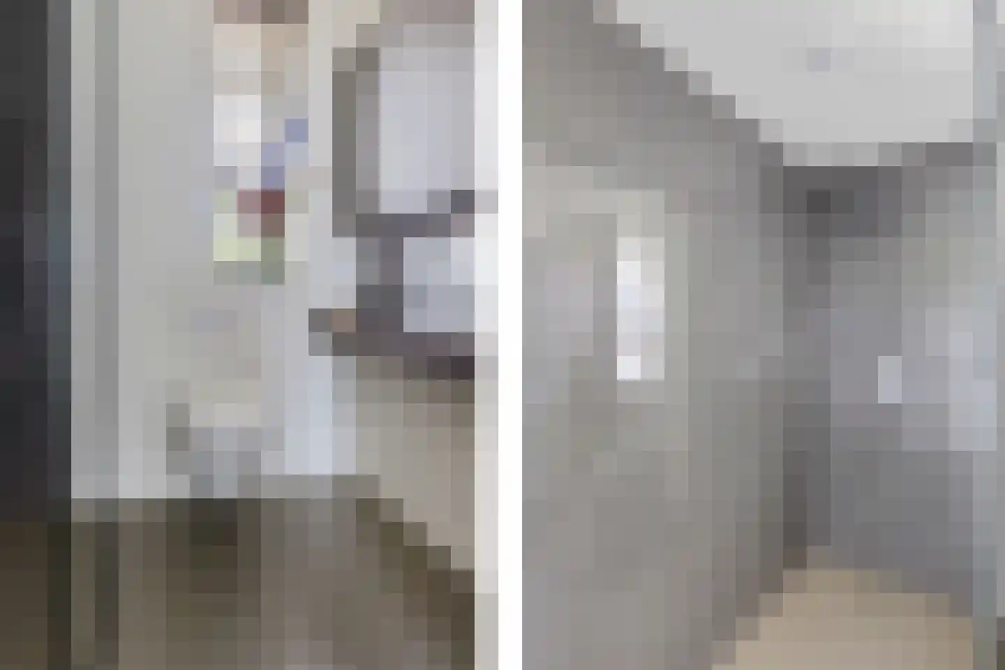 Laan der Romeinse tijd 32 Oss thumbnail 19