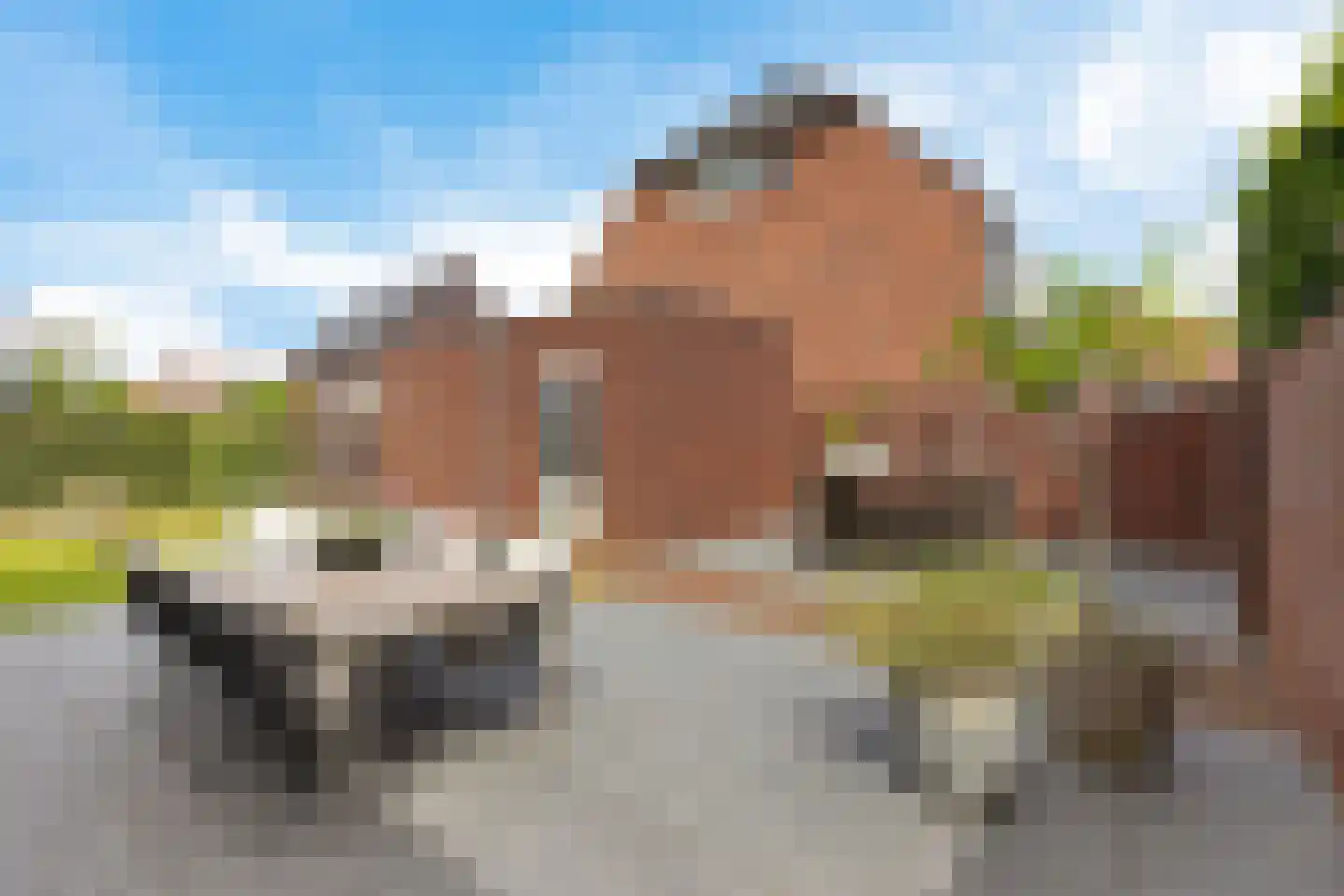 Laan der Romeinse tijd 32 Oss thumbnail 24