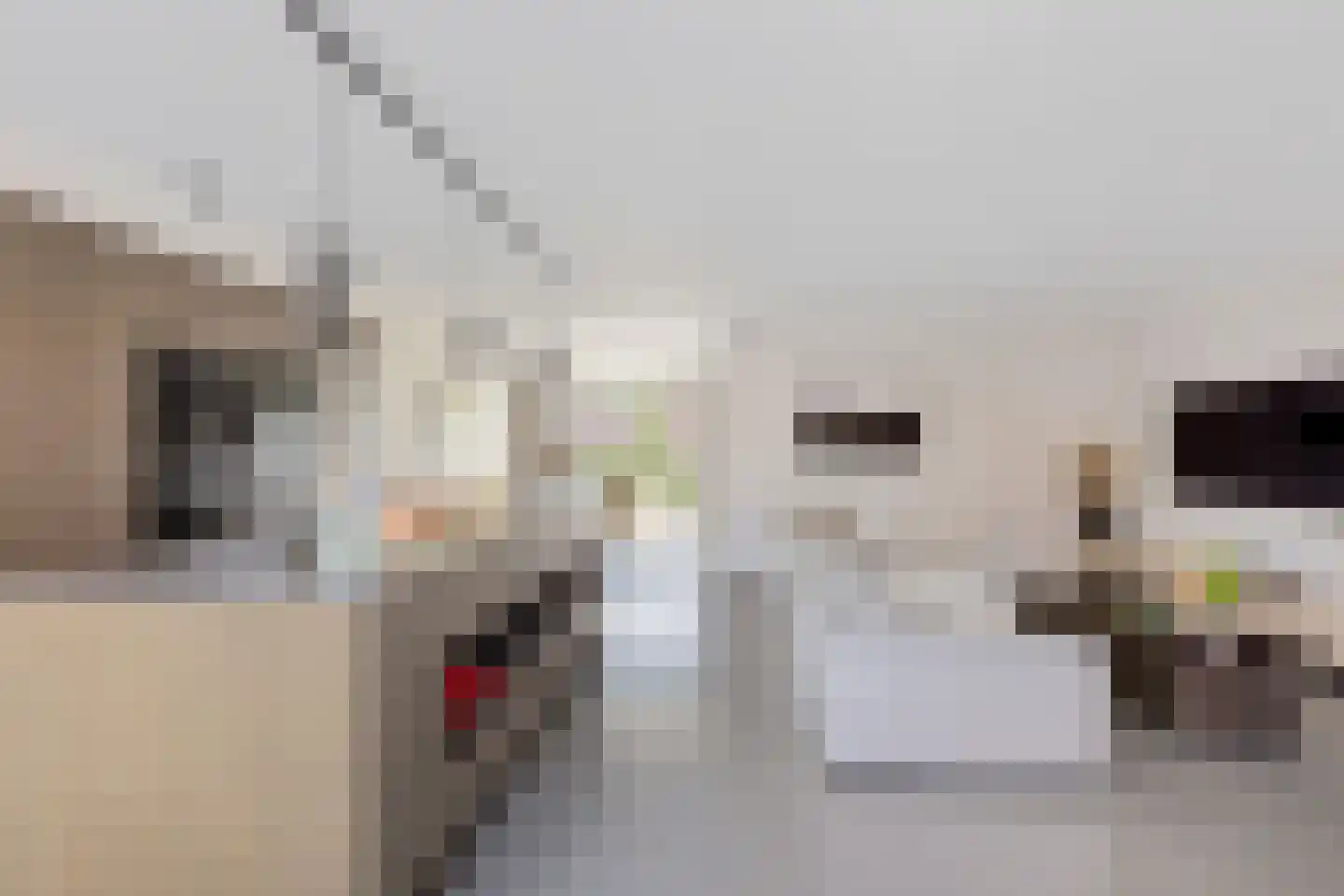 Laan der Romeinse tijd 32 Oss foto 3
