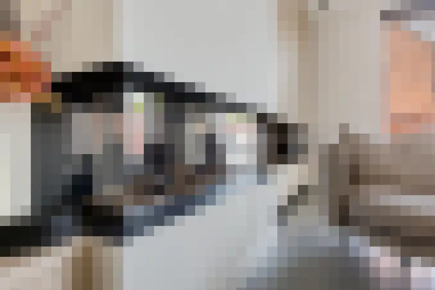 Laan der Romeinse tijd 32 Oss thumbnail 5