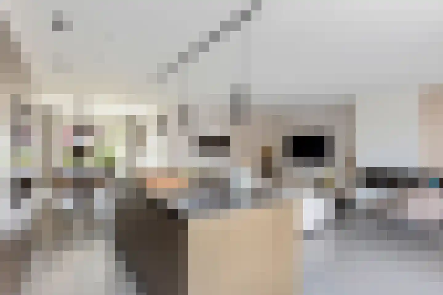 Laan der Romeinse tijd 32 Oss thumbnail 6