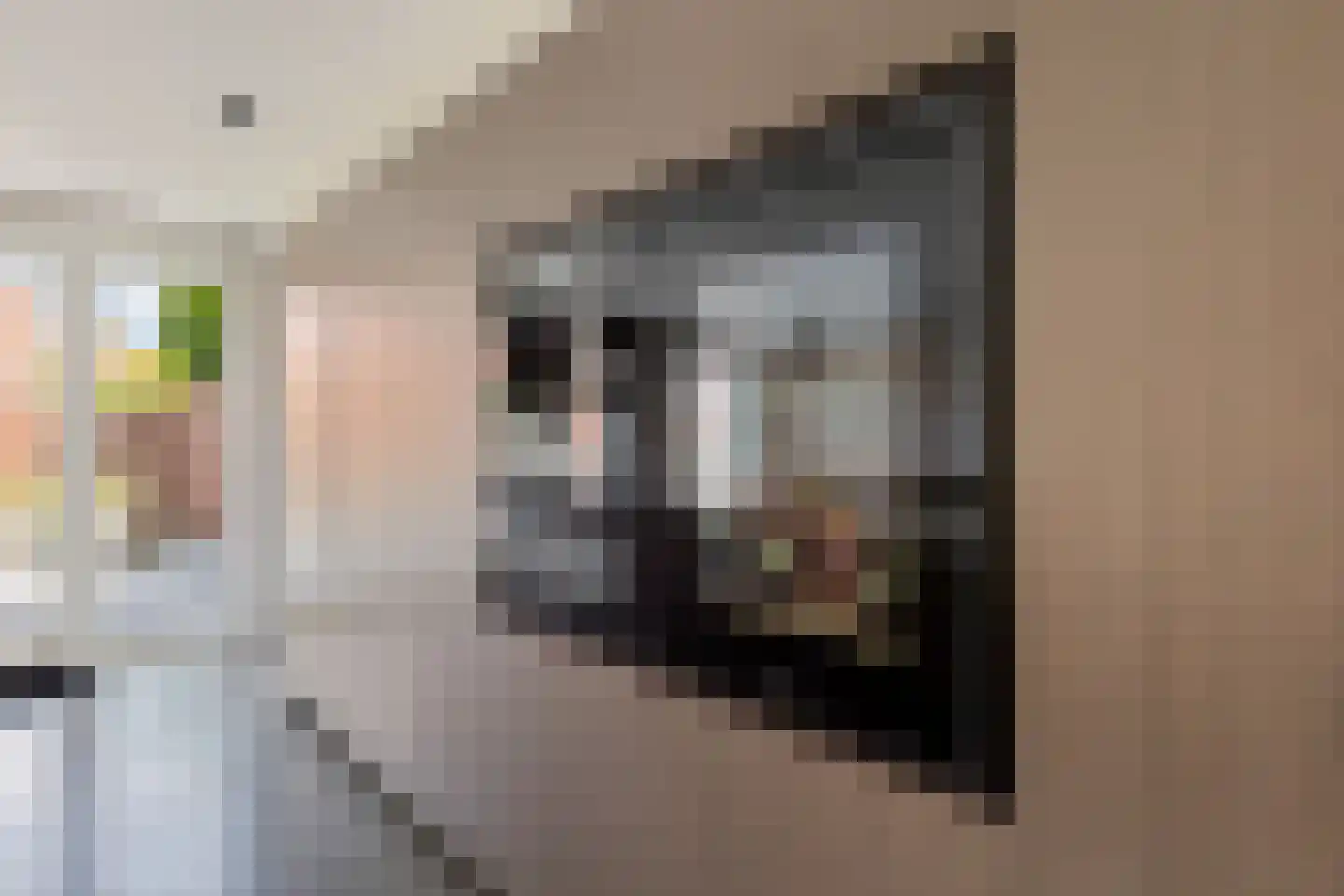 Laan der Romeinse tijd 32 Oss thumbnail 7
