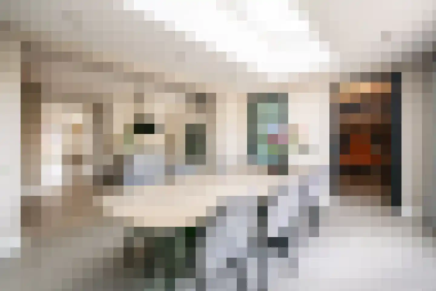 Laan der Romeinse tijd 39 Oss thumbnail 13