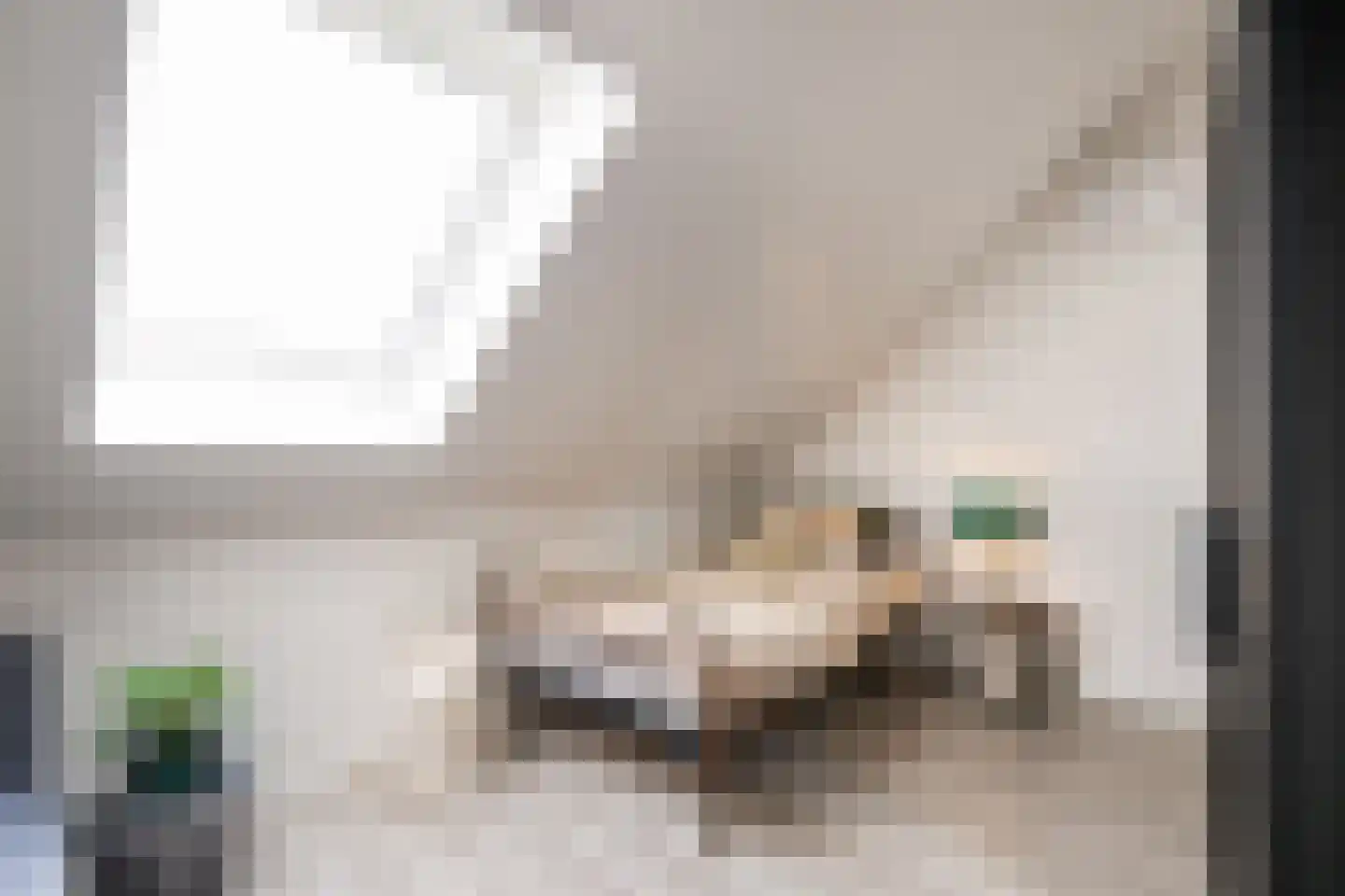 Laan der Romeinse tijd 39 Oss thumbnail 19
