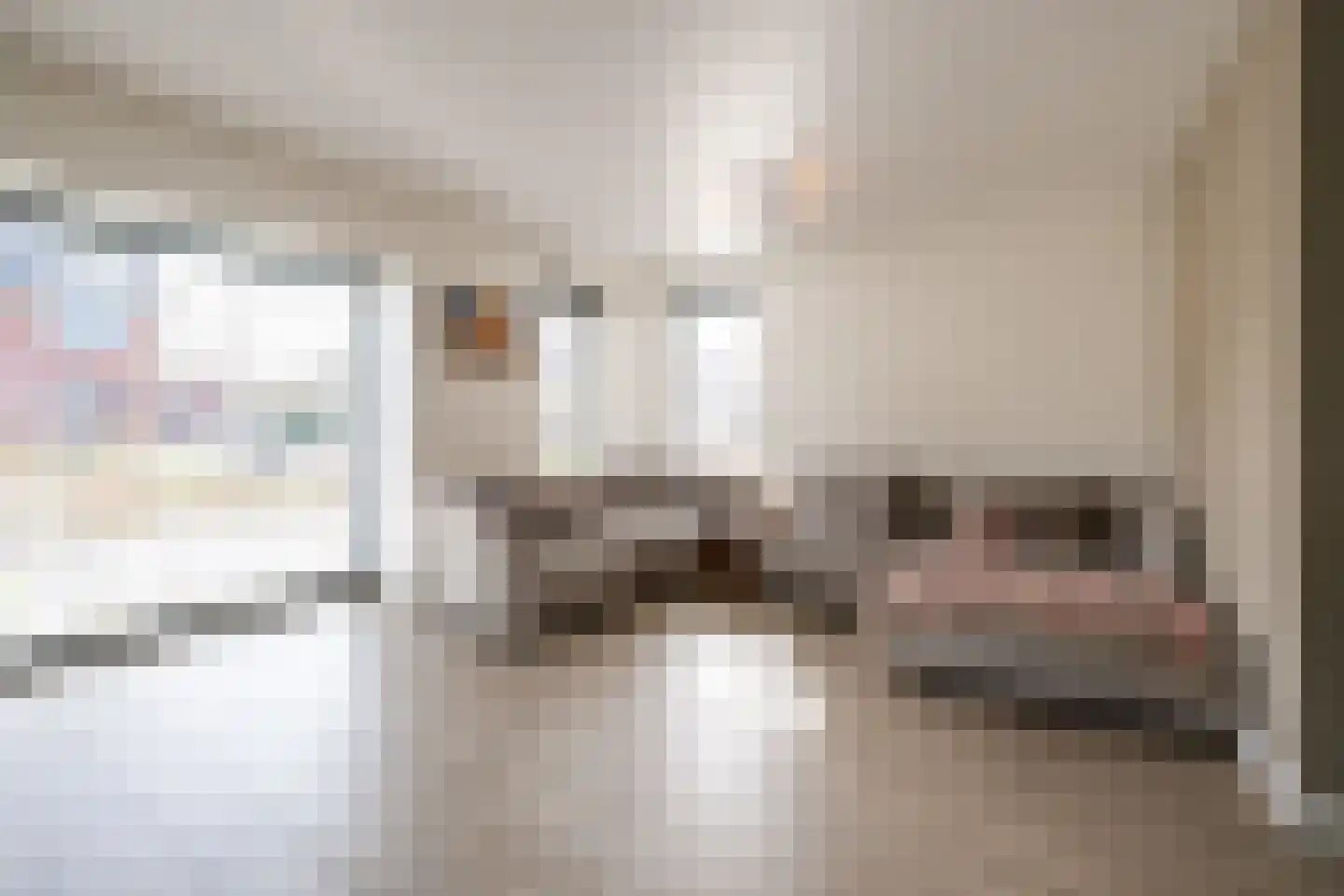 Laan der Romeinse tijd 39 Oss foto 2