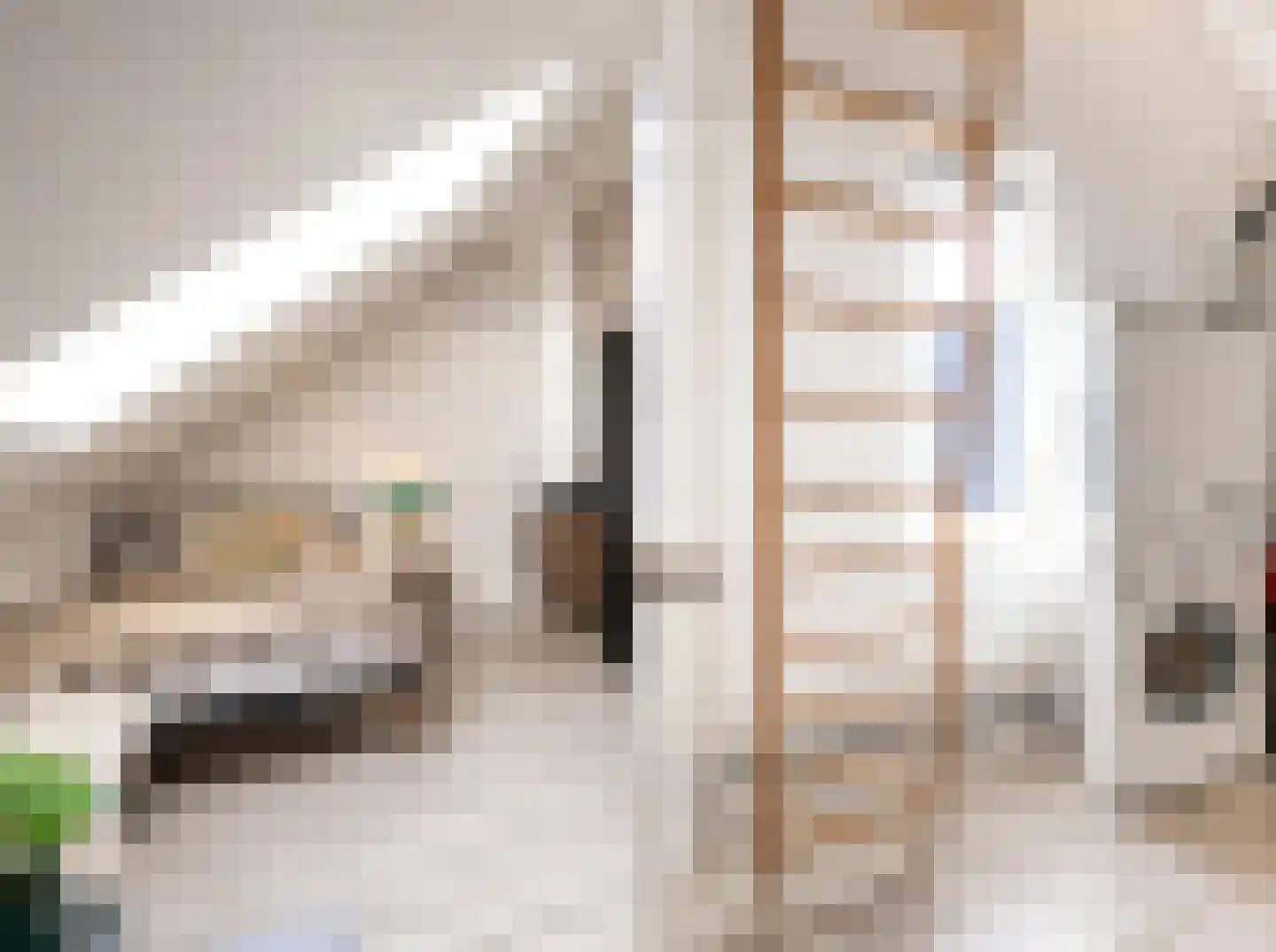 Laan der Romeinse tijd 39 Oss thumbnail 20
