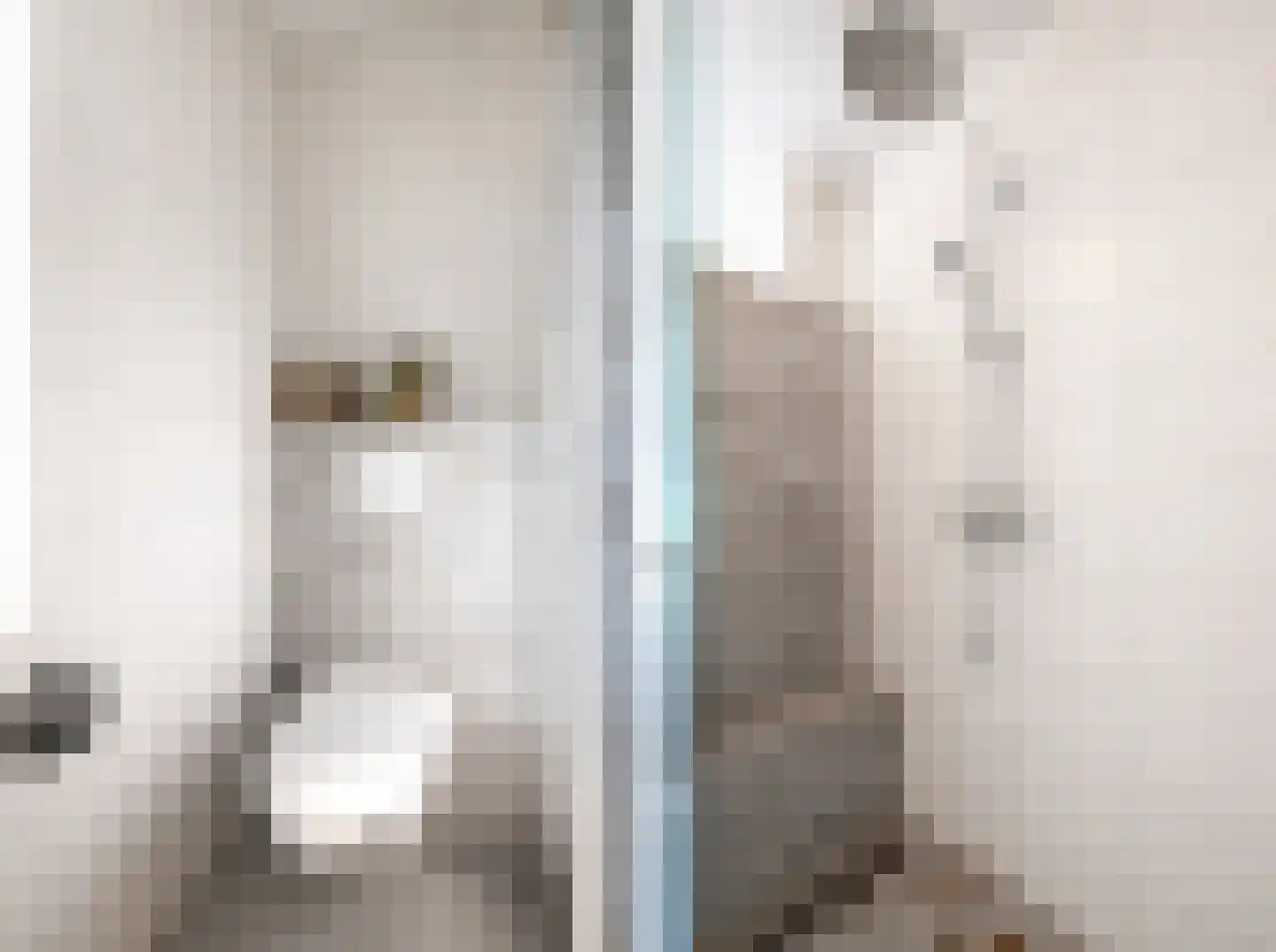 Laan der Romeinse tijd 39 Oss thumbnail 22