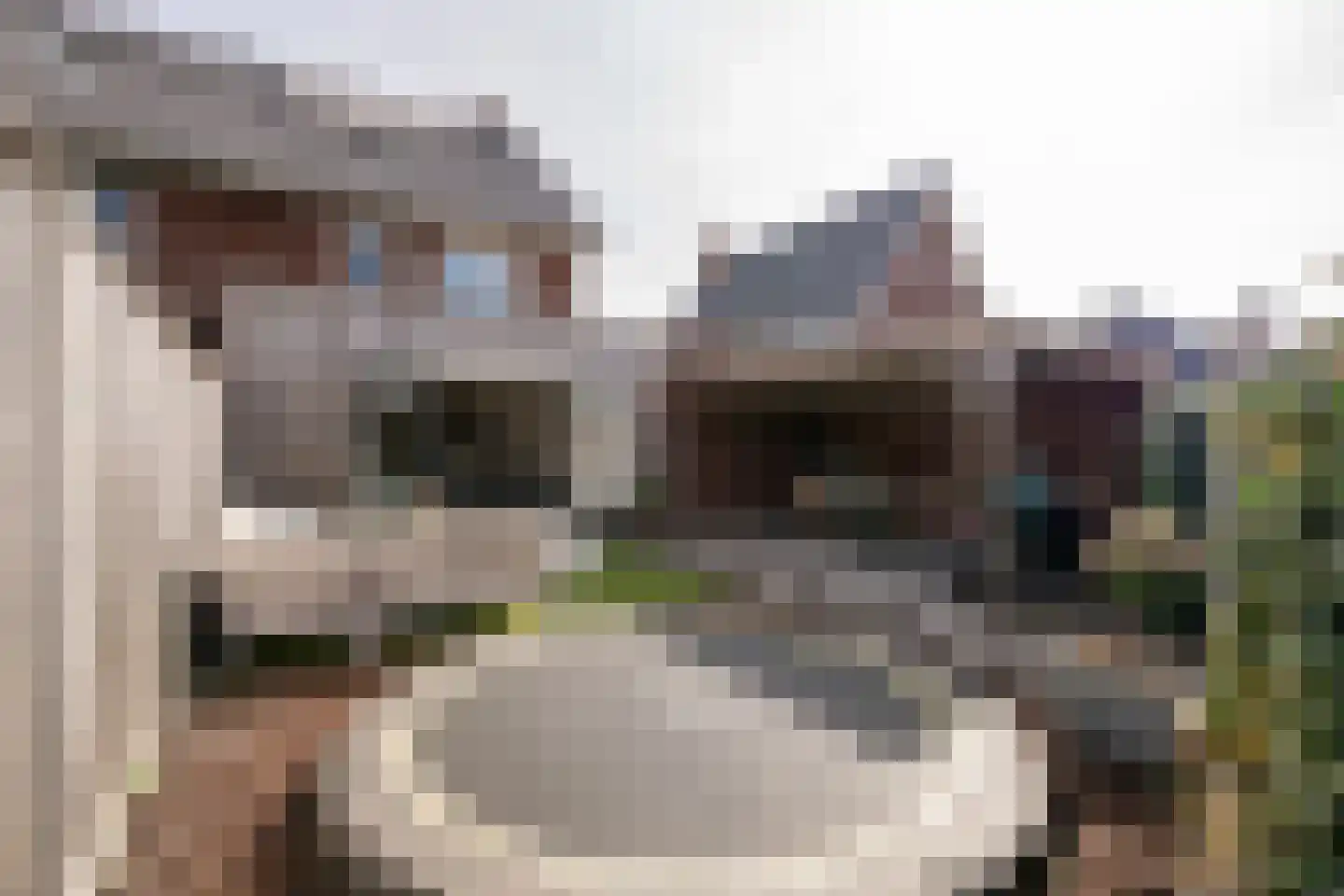 Laan der Romeinse tijd 39 Oss thumbnail 23