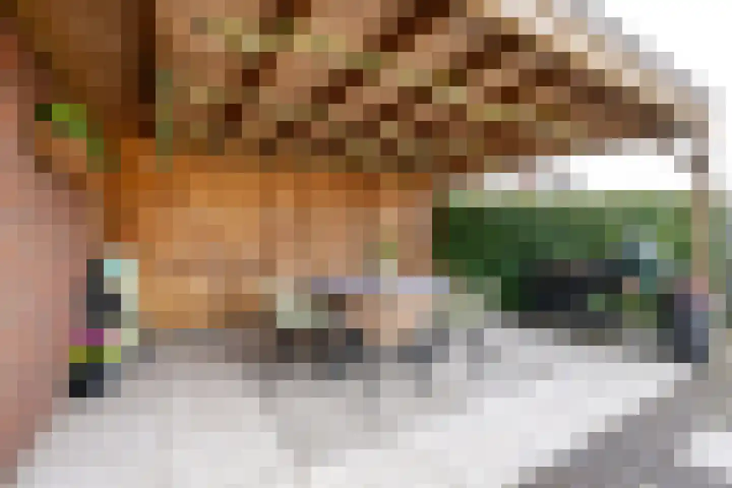Laan der Romeinse tijd 39 Oss thumbnail 26