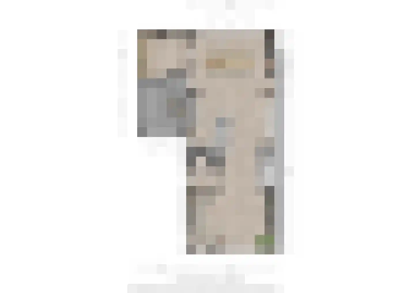 Laan der Romeinse tijd 39 Oss thumbnail 28