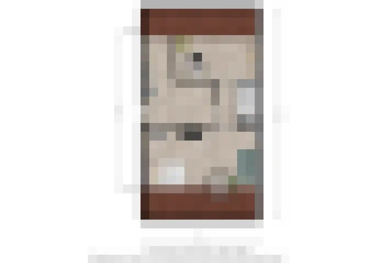 Laan der Romeinse tijd 39 Oss thumbnail 30