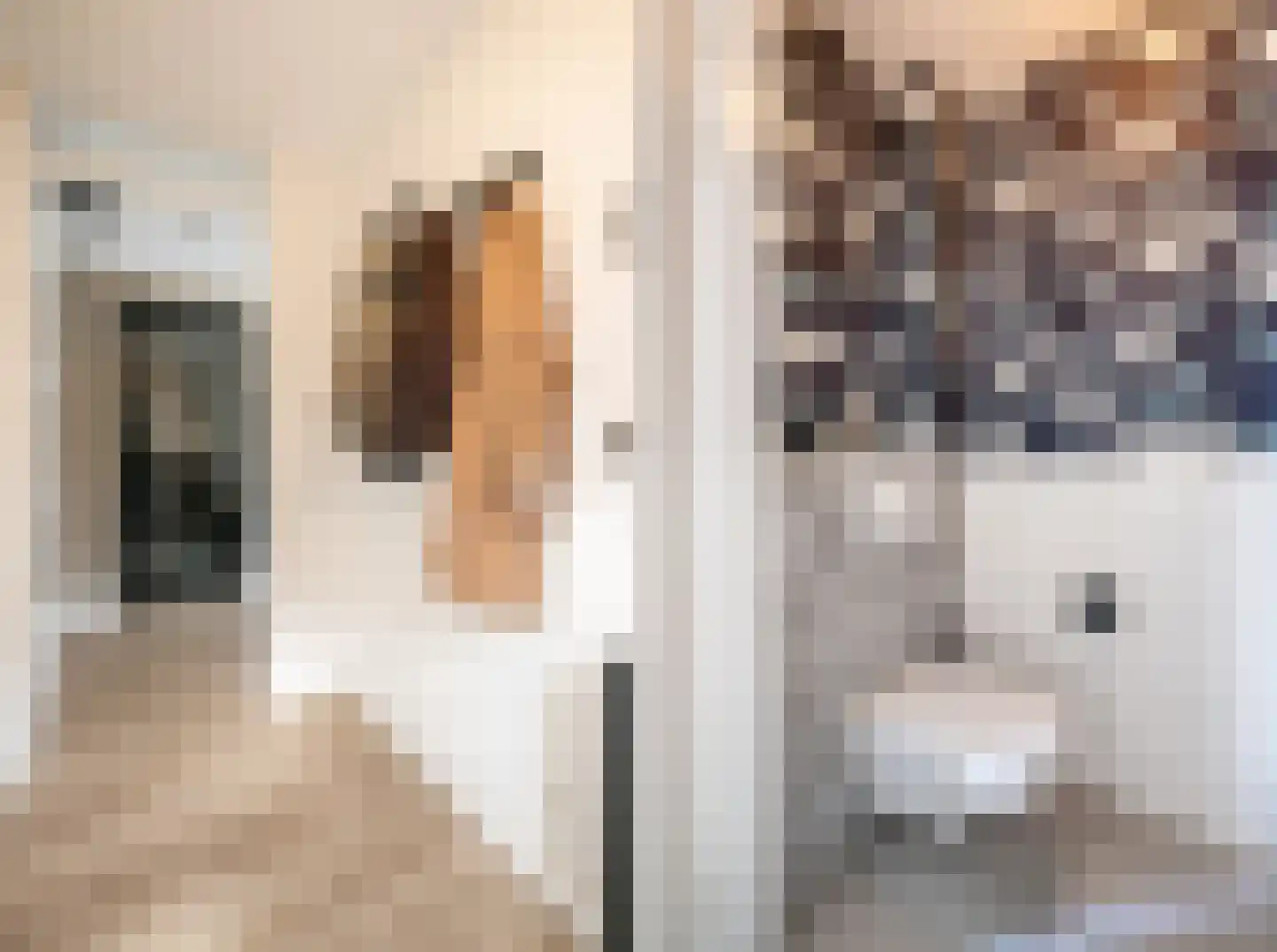 Laan der Romeinse tijd 39 Oss thumbnail 6