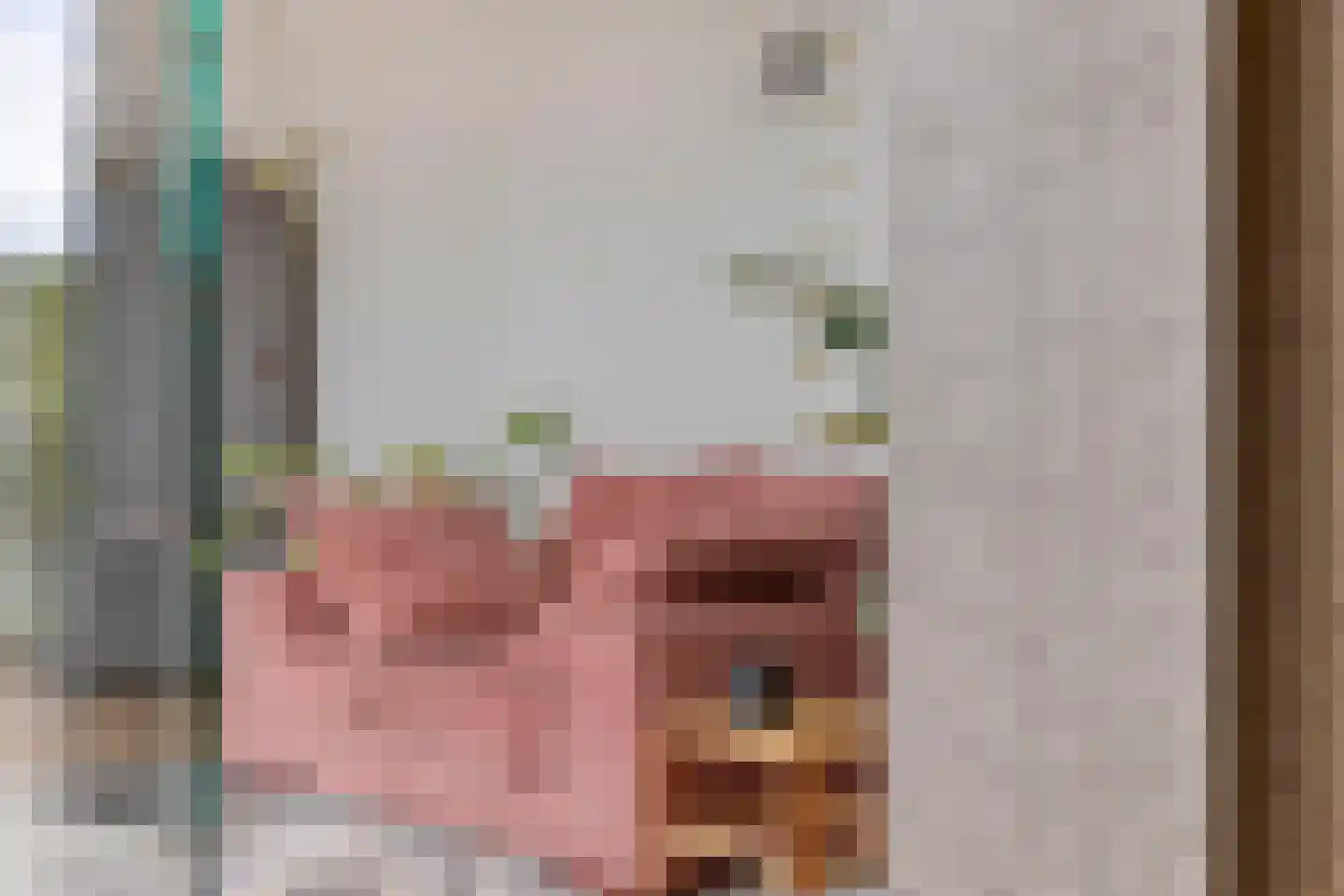 Laan der Romeinse tijd 44 Oss thumbnail 18