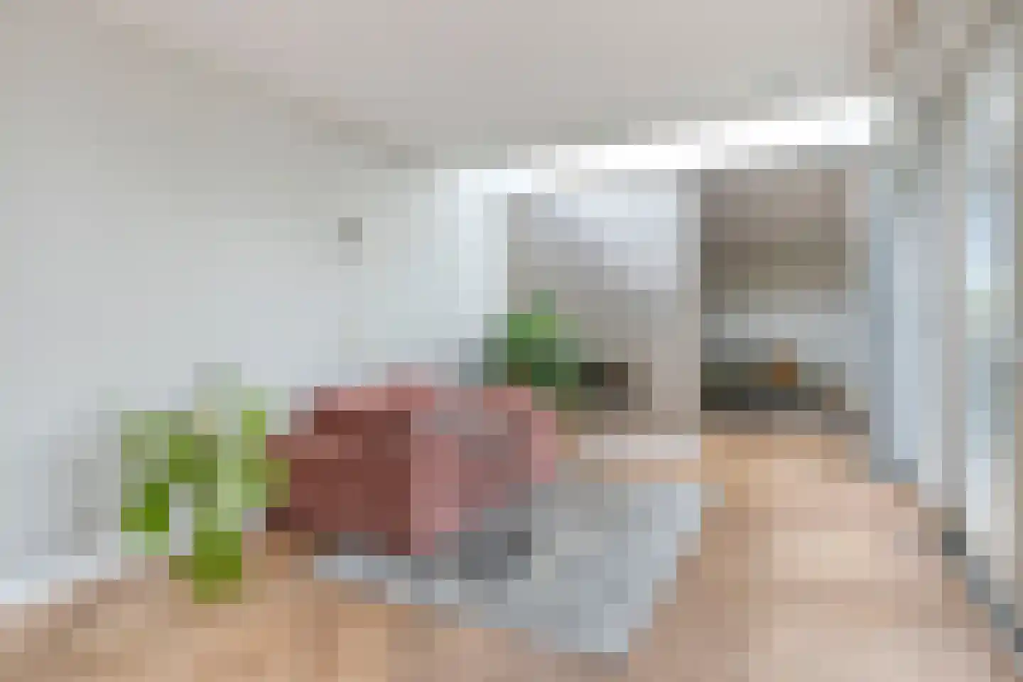 Laan der Romeinse tijd 44 Oss foto 3