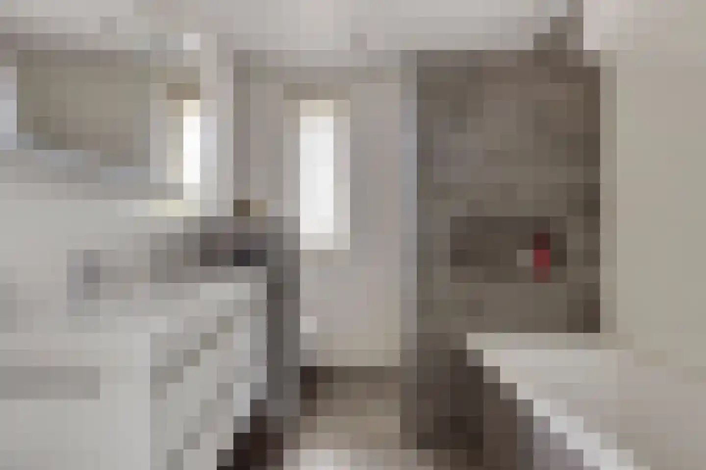 Laan der Romeinse tijd 44 Oss thumbnail 34