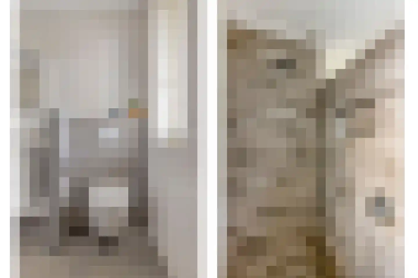 Laan der Romeinse tijd 44 Oss thumbnail 37