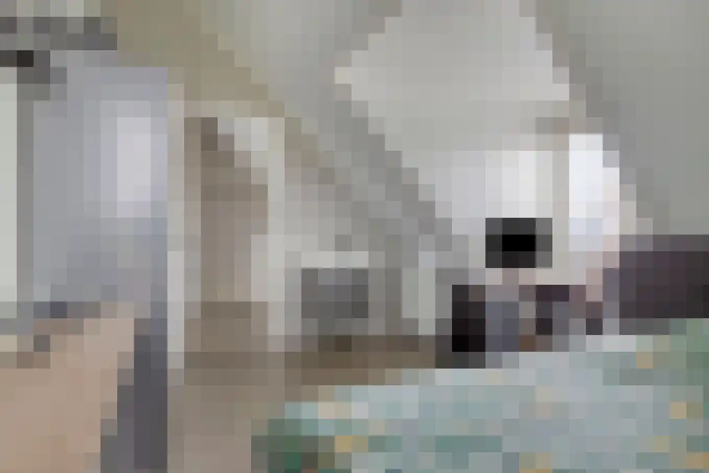 Laan der Romeinse tijd 44 Oss thumbnail 46