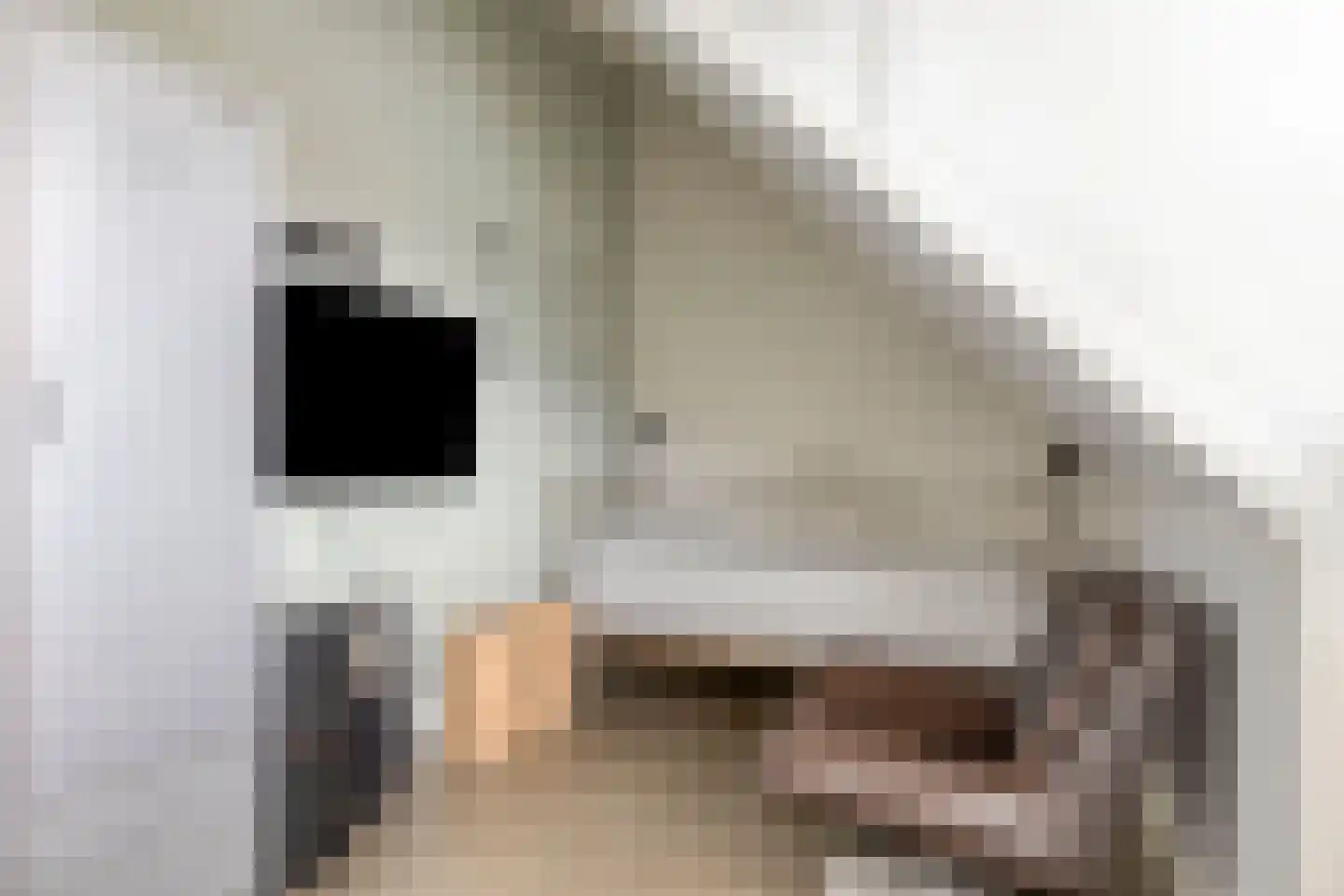 Laan der Romeinse tijd 44 Oss thumbnail 48
