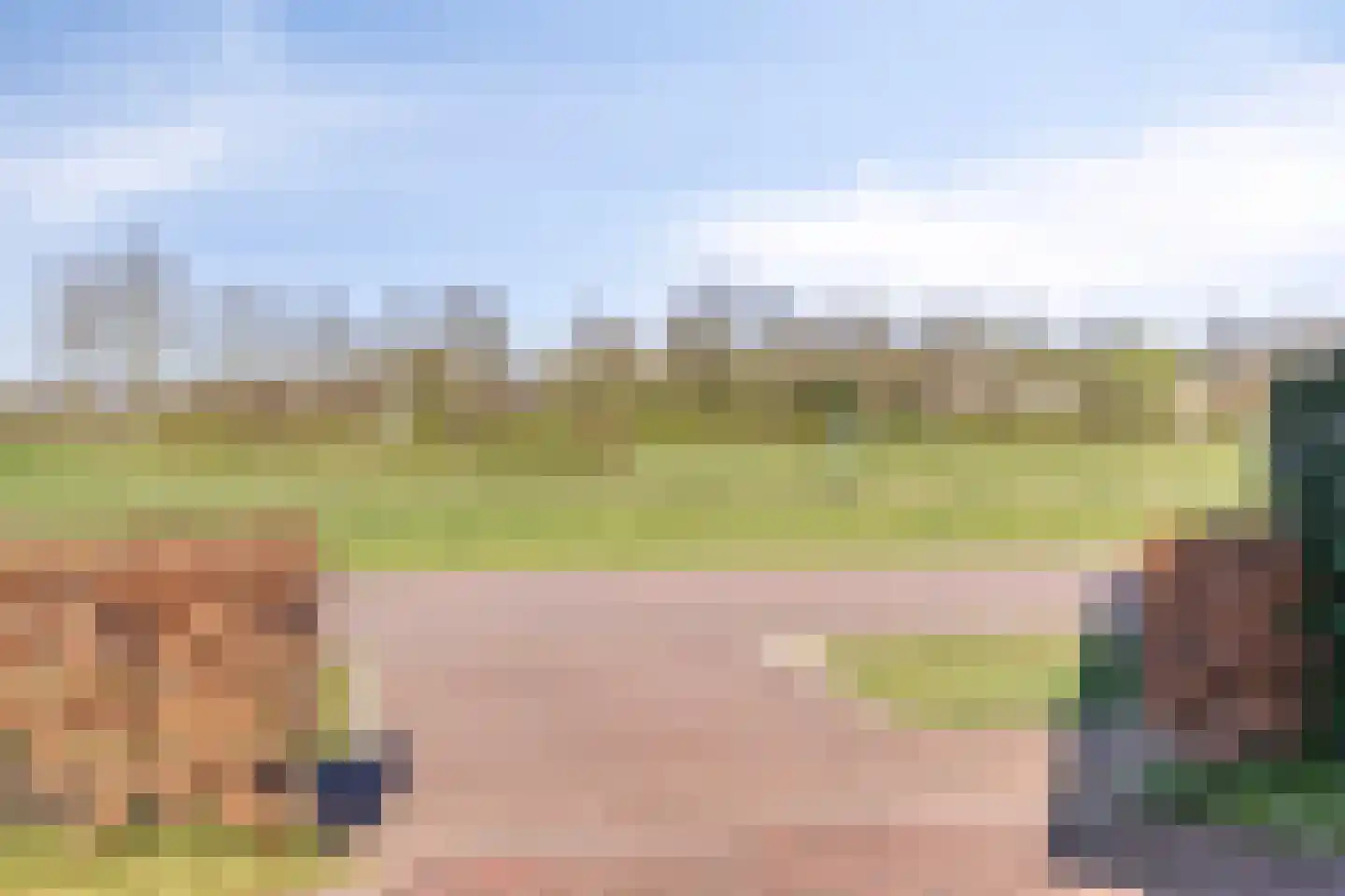 Laan der Romeinse tijd 44 Oss thumbnail 52