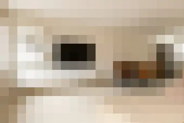 Laan der V.O.C. 101 Almere thumbnail 14