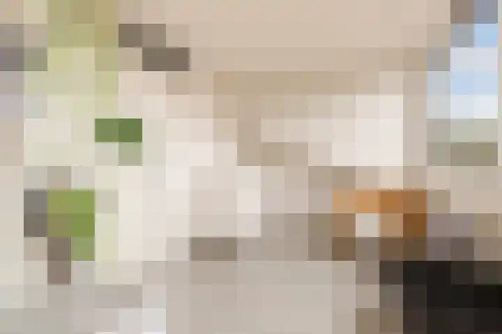 Laan der V.O.C. 101 Almere thumbnail 32