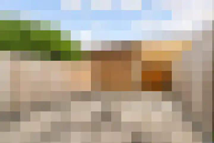 Laan der V.O.C. 101 Almere thumbnail 41