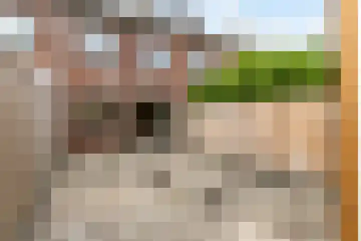 Laan der V.O.C. 101 Almere thumbnail 43