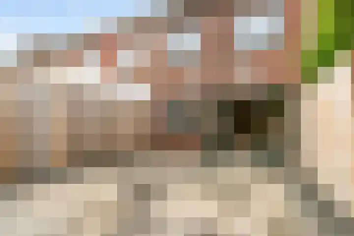 Laan der V.O.C. 101 Almere thumbnail 44
