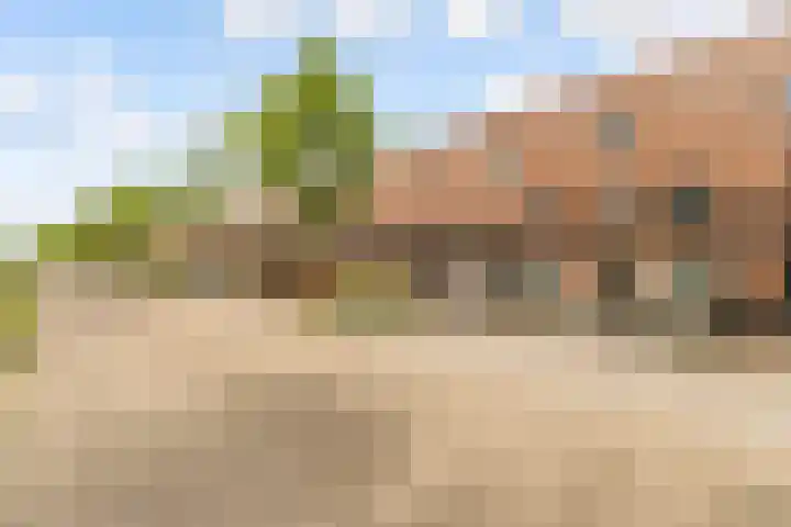 Laan der V.O.C. 101 Almere thumbnail 47